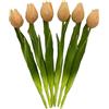 MIJOMA Tulipani artificiali, fiori artificiali, Real Touch, decorazione da tavolo (6 pezzi, lunghezza 27 cm, albicocca)