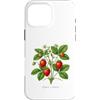 The Botany Bureau Custodia per iPhone 16 Pro Max Illustrazione della pianta di fragola Fragaria × ananassa