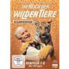Fernsehjuwelen Im Reich der wilden Tiere - Gesamtedition: Alle 6 Staffeln (Folgen 1-130) (DVD)
