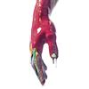Nayt Raptus (Vinyl LP)