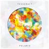 Tesseract Polaris (Vinyl LP)