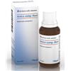 GUNA SpA arnica compositum heel gocce 30ml