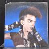 DUANE THE TEENAGE WEIRDO Postcard from Hell / Bubblegum Encore (Vinyl LP)