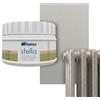 Bianca Stella Smalto per Termosifoni Resistente al Calore, Vernice per Riscaldamento a Base d'Acqua, Argento, Lucido, Antigraffio & Alta Copertura, 250ml