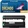 Yowell DR2400 DR-2400 (solo unità tamburo) compatibile per Brother DR2400 tamburo TN2420 TN2410 per HL-L2350DW MFC-l2710DW MFC-L2710DN MFC-L2750DW DCP-L2530DW HL-L2310D HL-L2370DN HL-L2370DN HL-L2375DW