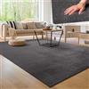 Paco Home Tappeto Moderno e Morbido per Soggiorno a Pelo Corto Lavabile Fluffy Uni Effetto Pelliccia Senza Tempo Elegante Antiscivolo Facile da Pulire, Dimensione:300x400 cm, Colore:Antracite