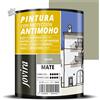 Pittura Antimuffa Muri Pareti Interni Traspirante Opaca Coprente 750ml Baia Jovi