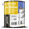Pittura Antimuffa Grigio Chiaro 750ml Muri Pareti Interne Opaca Previene Muffe S