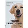 TEA Attraverso i miei piccoli occhi