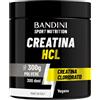 Bandini® Creatina HCL in Polvere 300g - Sapore molto forte e intenso ma 100% PURA - EVITALA se sei sensibile al gusto ACIDO - A base di Creatine Cloroidrato Puro - Integratore Sport & Palestra