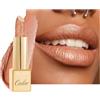 OULAC Rossetto Opaco Finitura Metallica, Matte Rossetti Champagne Glitterato Idratazione e Lucentezza a Lunga Durata per le Labbra, Texture Fine Colore Intenso, 4,3g (GM10) Chicness