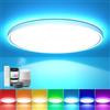 EASY EAGLE Plafoniera LED Soffitto RGB 40 cm, Intelligente Lampada LED Soffitto Dimmerabile 3000k-6500k, Compatibile con Alexa Google Hom, Lampadario con 16 Milioni Colori per Camera da letto, Soggiorno, Bagno