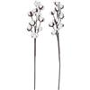 Posheliox 2 pezzi bianco artificiale cotone steli rami di fiori secchi 58 cm lungo stelo fiori rustico decorazione di nozze fattoria casa decorazione casa fai da te bouquet forniture