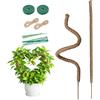 Tolesum Tutore per Piante Monstera 2x100 cm - Palo di Muschio Pieghevole in Fibra di Cocco con Anima in Alluminio, Supporto Modellabile per Piante Rampicanti da Interno, Set Completo con Legacci da Giardino