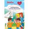 Dorothea Flechs Bibi & Tina: Zwillingsalarm auf dem Martinsho (Copertina rigida)