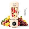 FARYODI Frullatore portatile da 700 ml, ricaricabile, piccolo spremiagrumi, con 12 lame antiruggine, mini frullatore per frullati e frullati, centrifuga portatile per viaggio/ufficio/sport (beige)