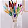 Sharharge 50 pezzi misti boho essiccati a coda di coniglio, erba pompa, erba pomposa, decorazione per matrimoni, bouquet di lagurus ovatus essiccati naturali, per composizioni floreali e decorazioni per la casa