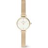 Daniel Wellington Orologio da donna analogico al quarzo 32029606
