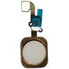 DHLK® Cavo Tasto Home Compatibile con iPhone 6S Plus Oro - No Impronta Digitale (A1634, A1687, A1699)