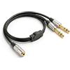 Jetstream Adattatore jack da 3,5 mm a 2 connettori da 6,35 mm, jack audio mono da 1/8 di pollice 3,5 mm TRS stereo a doppio connettore stereo TS da 6,35 mm 1/4 di pollice, cavo splitter a Y per mixer