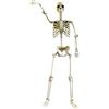 Pavsicgn Scheletro Di Halloween Da 91 Cm - Scheletro Umano A Grandezza Naturale Da 91 Cm Con Articolazioni Mobili A Corpo Intero, Scheletros In plastica1 Per Halloween, Decorazioni Per Feste Spettrali