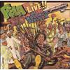 Fela Kuti J.J.D./Unnecessary Begging (CD)