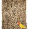Allazone Sughero Terrario Sfondo, Decorazione di Corteccia di Rettile, Fondo Corteccia di Sughero per Terrario Decorazione per Tartaruga Lucertola (1PCS, 30 x 40 cm)
