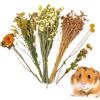 Generic Fiori da per criceti, decorazione naturale, fiori secchi e spighe di grano, miglioramenti estetici 'habitat, morbida lettiera per piccoli animali, materiale di nidificazione per criceti nani