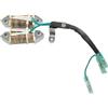 FiHzer Bobina di Illuminazione for Motore fuoribordo 66M-85533-00 66M-85533-10 Avviamento Elettrico for 4 Tempi 15 CV