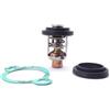 BUDZAVHIC 19300-881-761 Termostato da 120 ℉ per Motore per Barche BF 55 60 70 75 80 100 HP