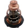 BUDZAVHIC 6FP-12411 Termostato 60 ℃ 140 ℉ per Ymh 75 90 HP F75B F90B VF90A Moto fuoribordo a 4 Tempi 6FP-12411-00 6FP-12411-00-00