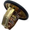 BUDZAVHIC 875781 858640 Termostato 60° per V-lvo P-nta MD1 MD2 MD3 AQD2B AQ60 AQ115 AQ130 MD11C MD11D MD17 876097 876080