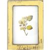 Wuuooei Cornice per Foto Vintage, Cornici Foto da Parete Legno, Portafoto in Legno da Decorare Piccole Montaggio Verticale o Orizzontale per Decorazione della Casa da Tavolo 9 x 13 cm (Giallo)