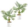 PASCH® Set di 2 Palme Artificiali Areca (35 cm) in Vasi di Ceramica Bianchi: Piante Come Reali, in Vaso, Falso Pianta, Fiori