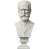 Cozylkx Resina Famosa Scultura Romana, Statua Busto in Gesso di Tchaikovsky Mitologia Greca Figurina Gesso Ritratti Stile Nordico Disegno Pratica Artigianato Decorazioni per La Casa