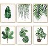YTFG 6 stampe artistiche da parete di piante botaniche, decorazione per la camera da letto, 21 x 30 cm, senza cornice, acquerello verde, immagini botaniche, immagini di foglie, arte da parete, decorazione