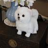 Peluche Realistico Di Cane, Regalo Di Compleanno, Razza Di Cane, Occhi Ricamati,