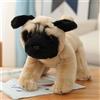 Peluche Realistico Di Cane, Regalo Di Compleanno, Razza Di Cane, Occhi Ricamati,
