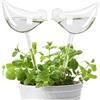 KiKiHeim Plant Watering Globes Self Watering Planter Insert Spikes Drip Devices, Clear Glass Automatic Water Bulbs for Outdoor&Indoor Plants, 2 Birds