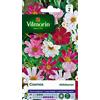 Vilmorin Cosmos Aldebaran Petali Tubuli
