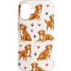 Nova Scotia Duck Tolling Retriever Lover Custodia per iPhone 16 Modello di retriever di anatra della Nuova Scozia