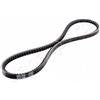 Japanparts DT-10X775 Cinghia Servizi