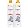 Generico WEXÓR Elisir Gres Detergente Gel Profumato per Pavimenti e Superfici - Patchouli, Menta Fresca e Fiori d'Acqua - Igienizzante, Profumo Lunga Durata, Ideale per Gres Porcellanato - 2 unita da 750 ml