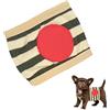 A/A Pannolini per cani in cotone - Pannolini in cotone per cuccioli, fascia avvolgente per la pancia del cane, pannolini in cotone con scomparto per assorbente dell'acqua, fascia addominale per