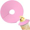 Generic Collare a cono per uccelli - Collare protettivo anti-leccare - Collare regolabile anti-morso per animali domestici per la prevenzione della perdita di di piccoli animali, protezione da
