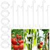 SANOU Ganci di Supporto per Pomodori Gancio per la Crescita delle Pomodoro 100x Pomodoro Crescita delle Piante Ganci 60x Clip per Pomodoro - Gancio Porta Pomodoro per Piantare Cetriolo Pomodoro