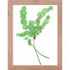 Rahmendesign24 Cornice portafoto a doppio vetro Milano 13 x 18 cm, in rovere naturale, cornice intercambiabile, doppio vetro