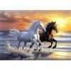MOTGOM DIY Diamond Painting Kit Caballos, Animales 5D Pittura Diamante Kit, Diamond Painting Ricamo a Punto Croce Artigianale Per La Decorazione Della Parete Di Casa 40x30cm
