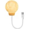 Generico Luci ad attivazione vocale, piccola lampada da scrivania | Lampada da tavolo a LED a comando vocale | Luce notturna a LED Moon con 3 luci lunari regolabili e portatili alimentate tramite USB per la le