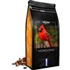 NONE Caffè in Grani Interi 500g HONDURAS 100% ARABICA Tostato Fresco per la Macchina da Caffè Espresso SkimaCoffee + GRATIS